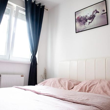 Apartman Black Star Appartement Novi Sad Buitenkant foto